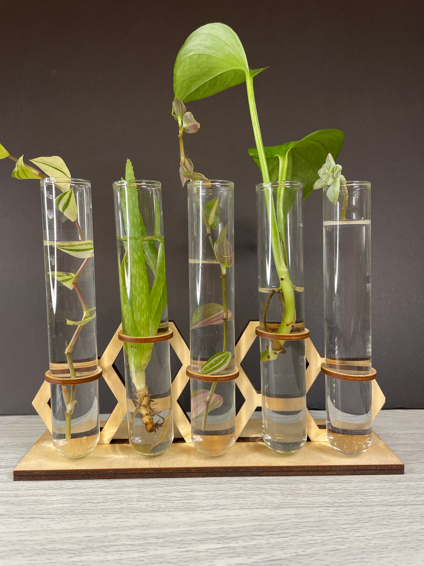 Propagation Stations