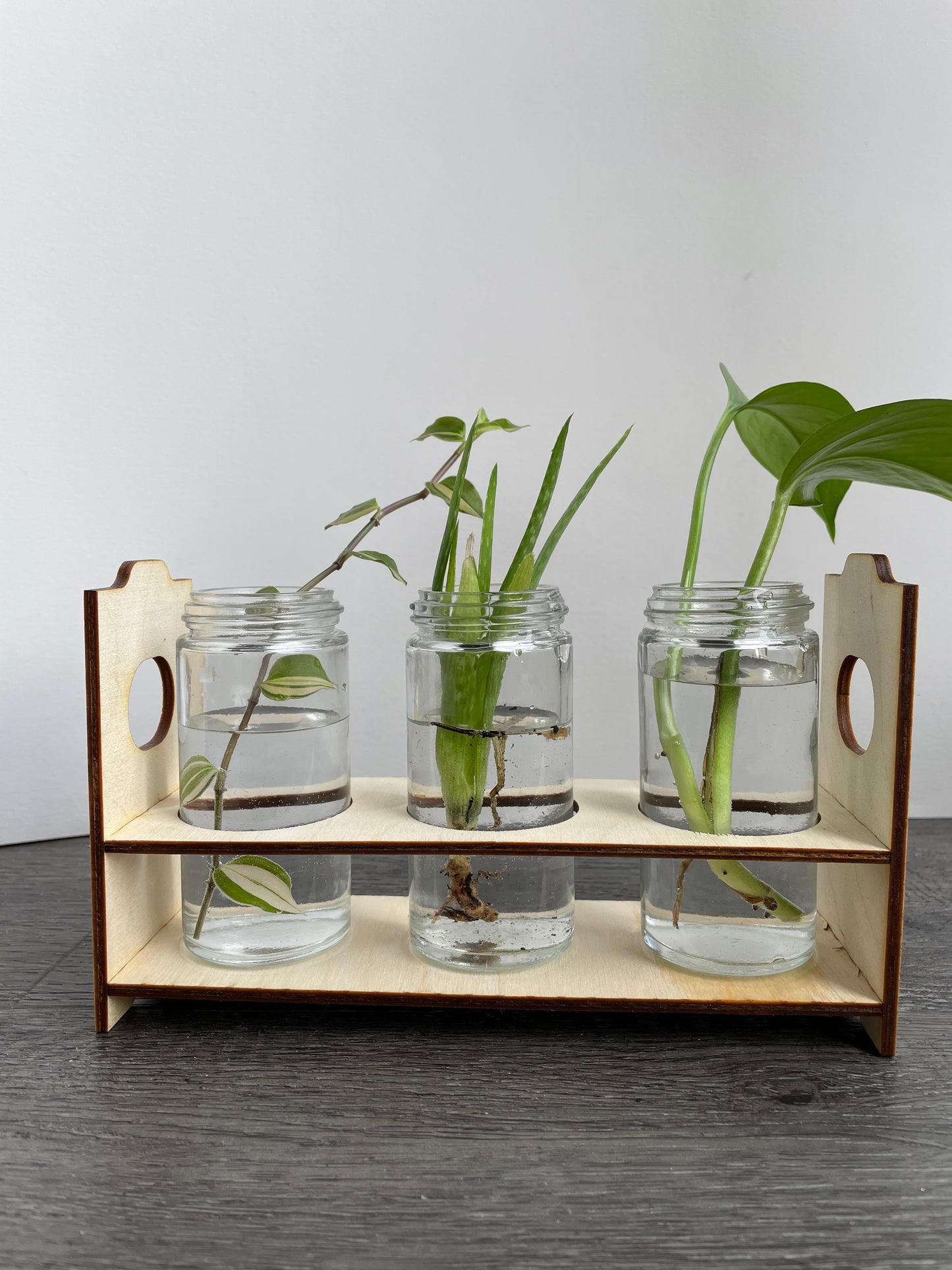 Propagation Stations