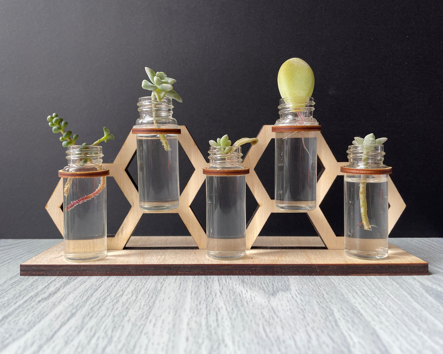 Propagation Stations
